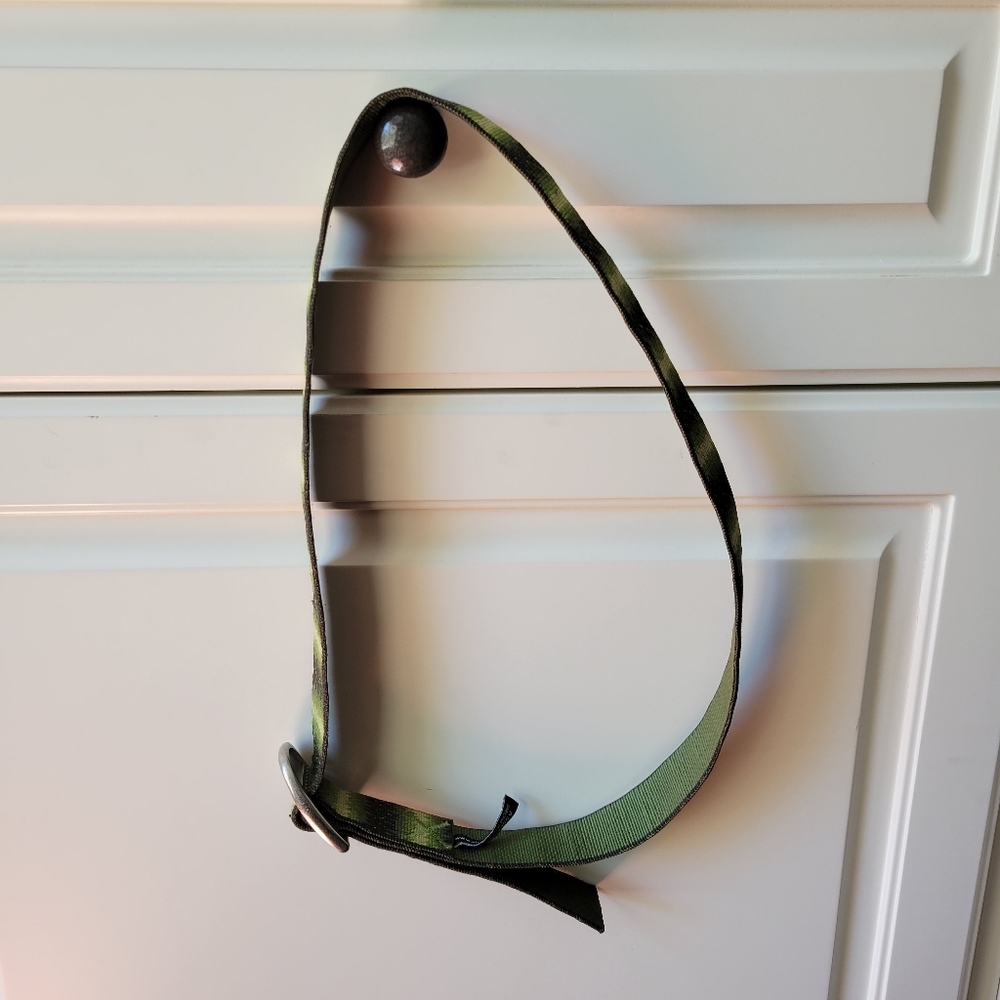 Chaco webbed belt outdoors hiking climbing